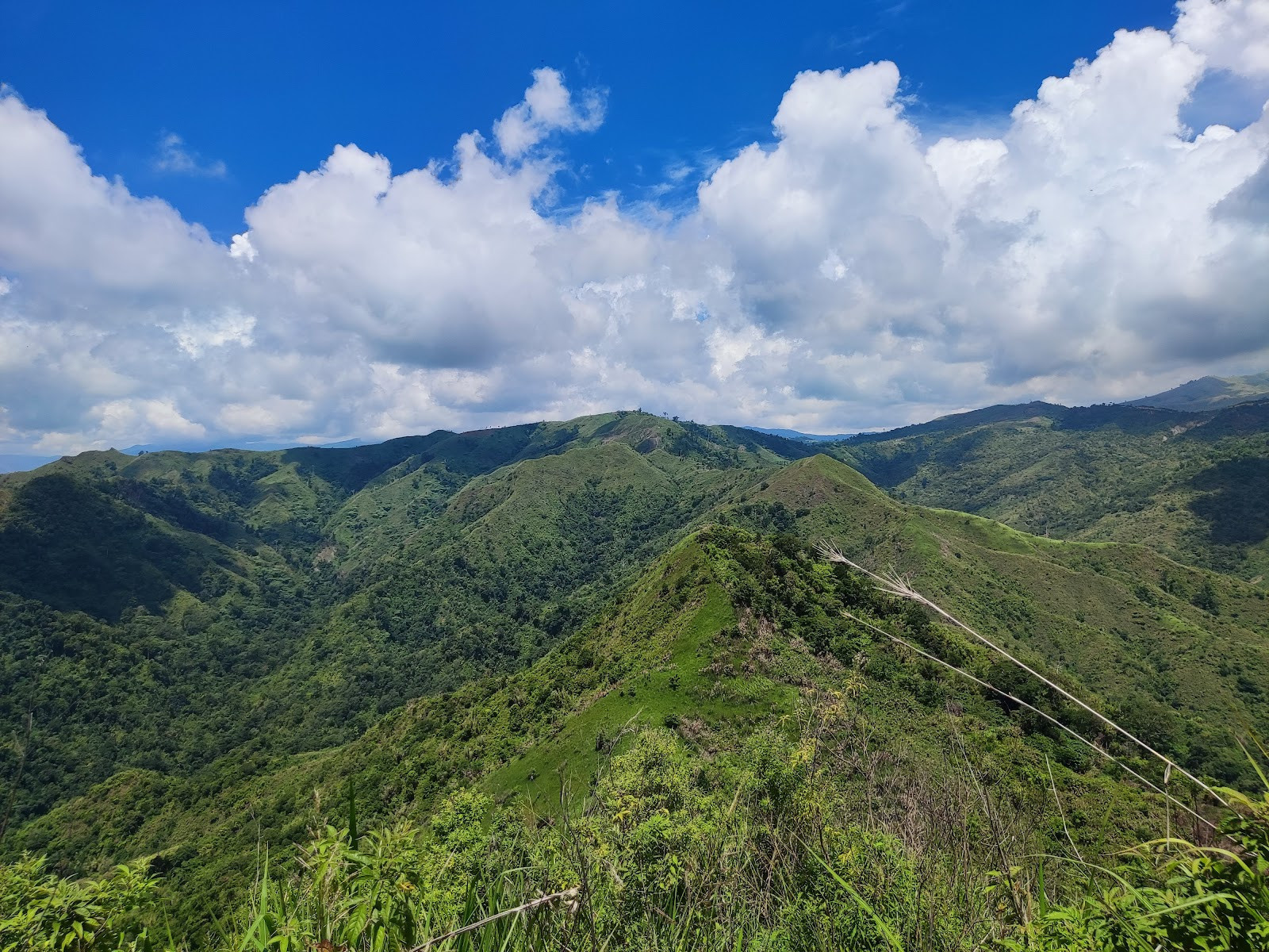 Mt. Damas